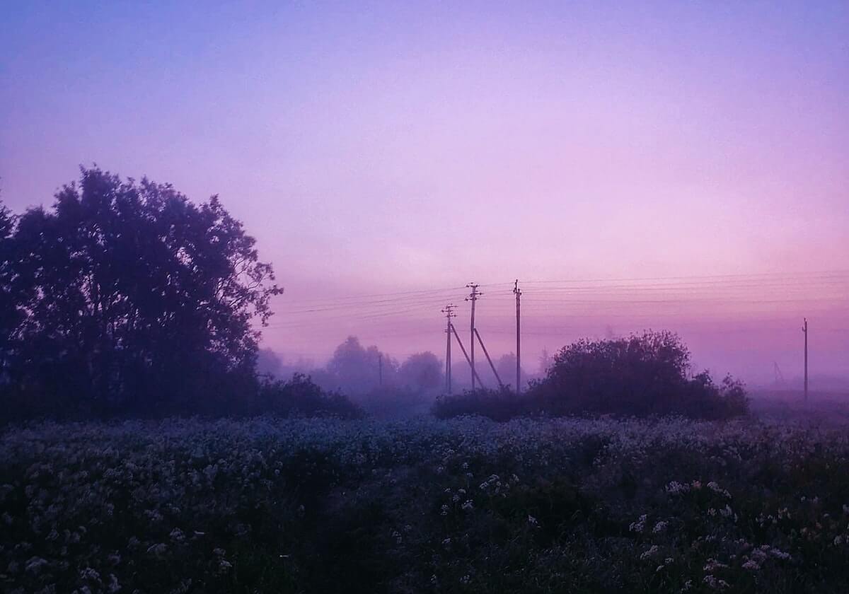 赛事官方分享SofM回归后首次登场：Welcome back, SofM!